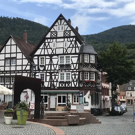 Apartment Ferienwohnungen Annweiler am Trifels *