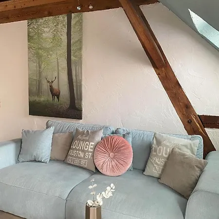 Apartment Ferienwohnungen Annweiler Am Trifels *