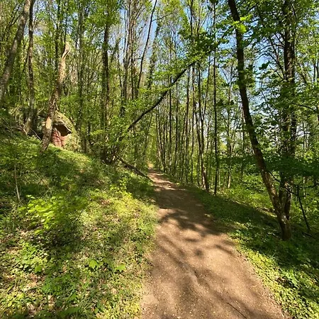Ferienwohnungen Annweiler am Trifels Apartment Annweiler am Trifels